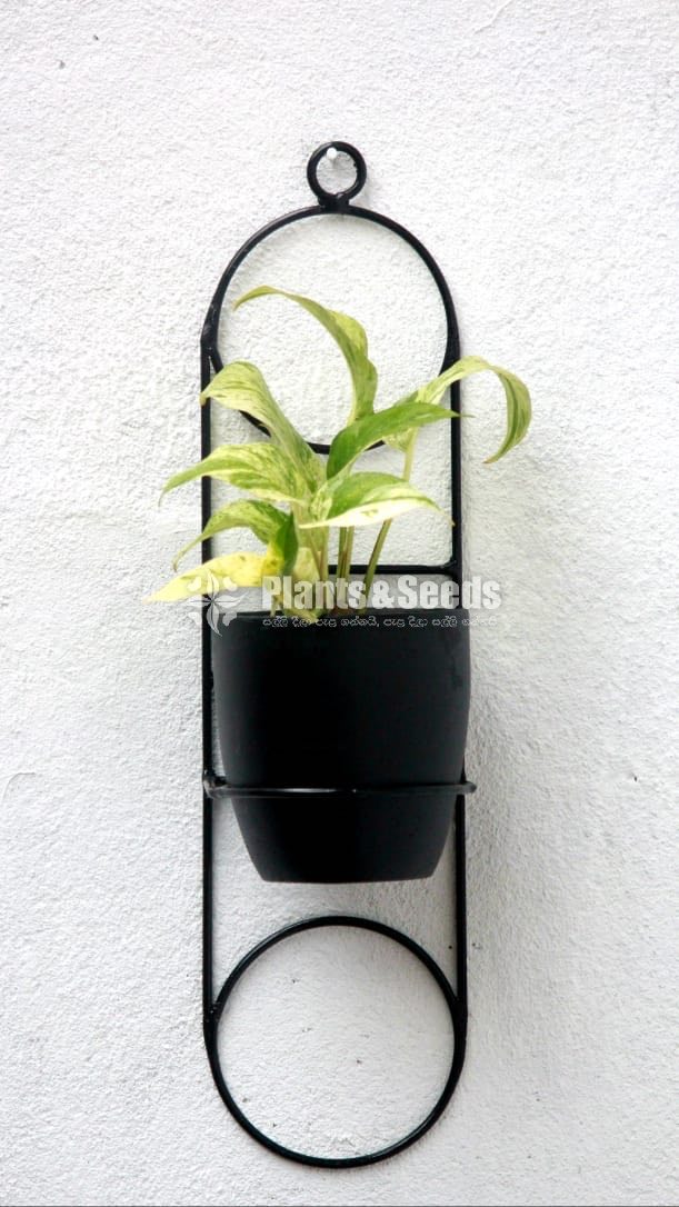 Ceramic Powder Coated Pots with Stand