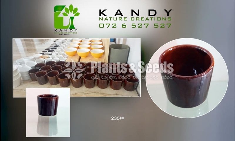 Ceramic Pots
