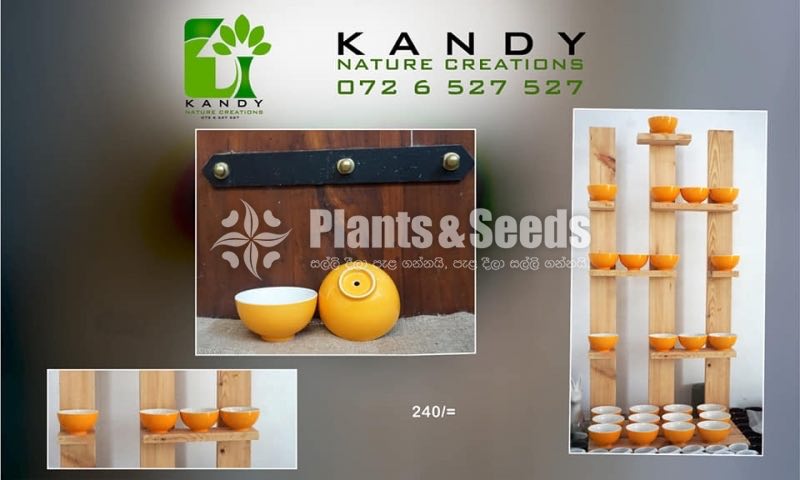 Ceramic Pots