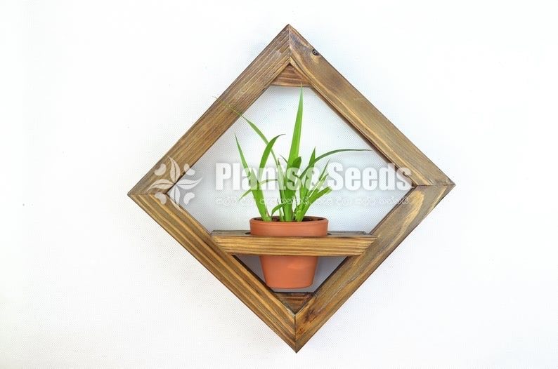 Indoor Wall stand-2500