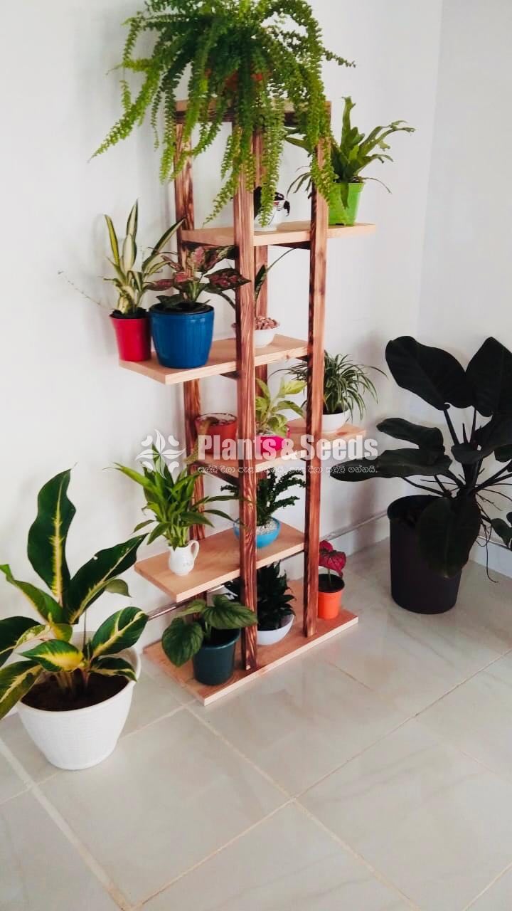 Indoor Wall stand-8000