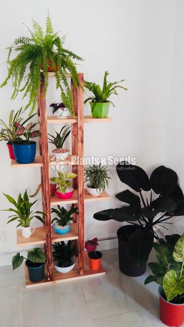 Indoor Wall stand-8000