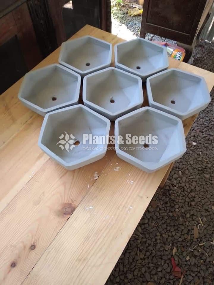 Bonsai Pots