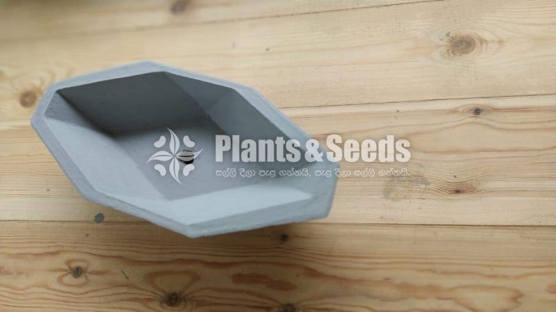 Bonsai Pots