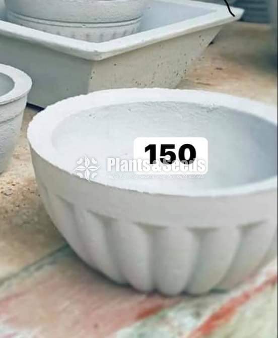 Cement Pots