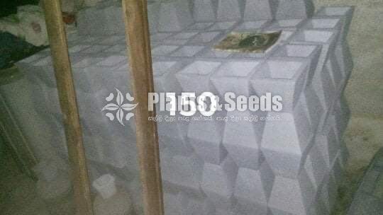 Cement Pots