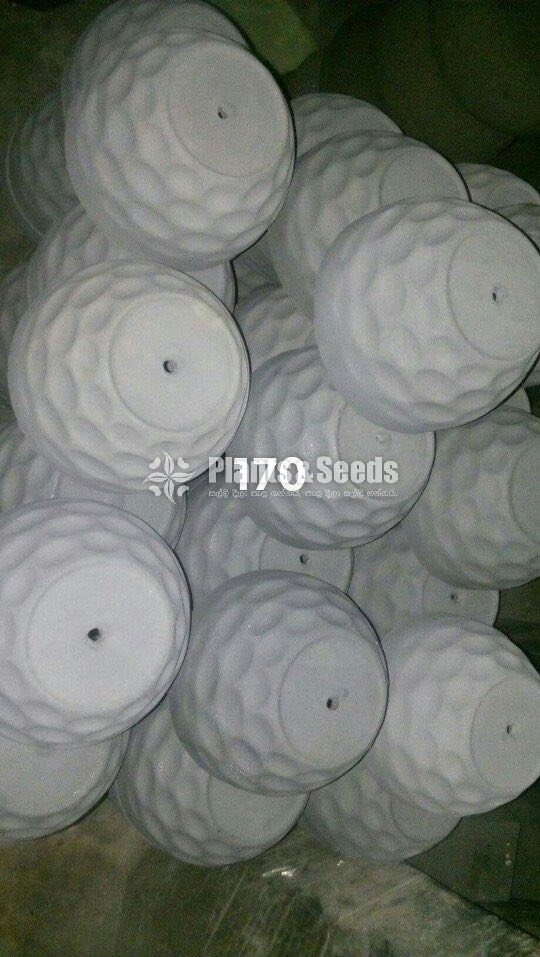 Cement Pots