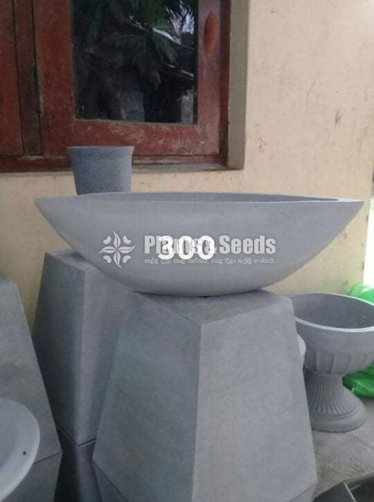 Cement Pots