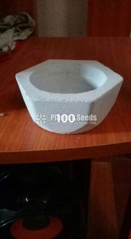 Cement Pots