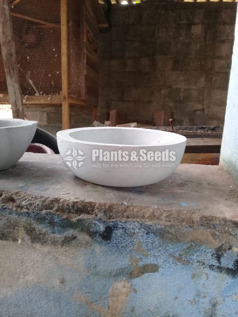 Cement Pots