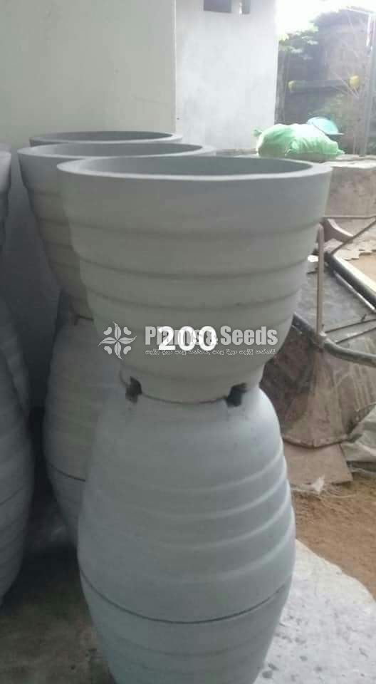 Cement Pots