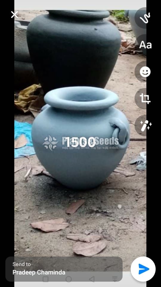Cement Pots