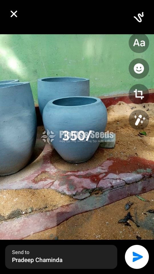 Cement Pots