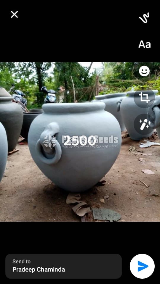 Cement Pots