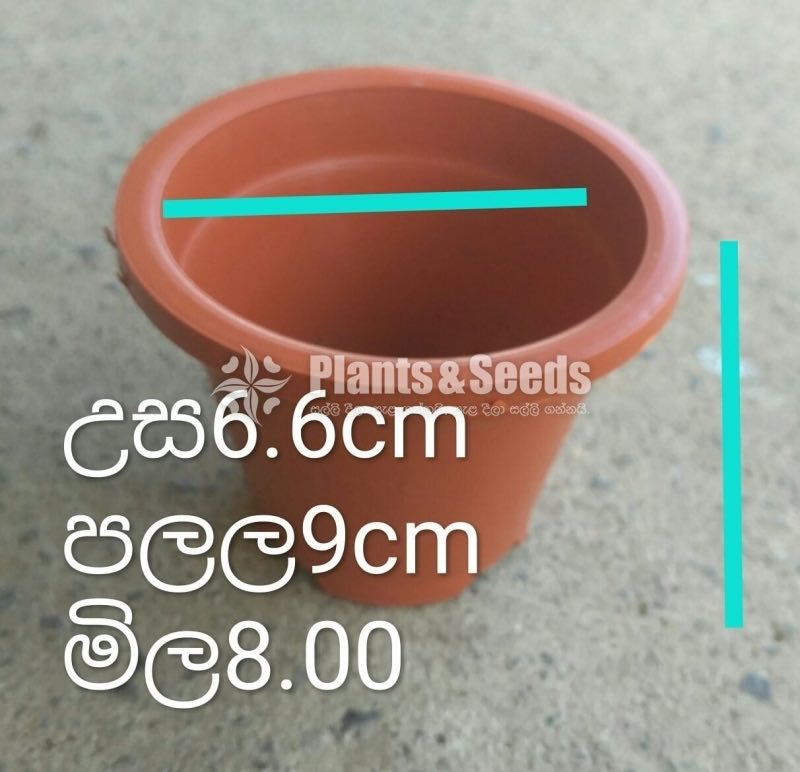 Plastic Pots
