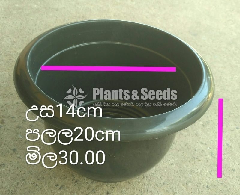 Plastic Pots