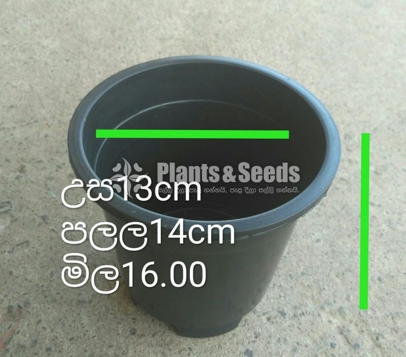 Plastic Pots