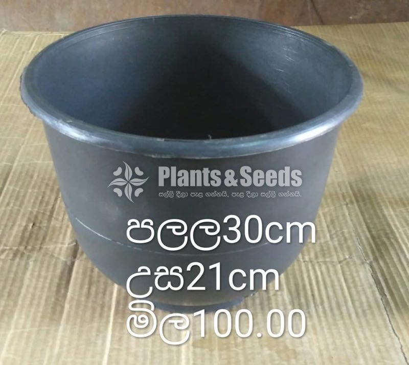 Plastic Pots