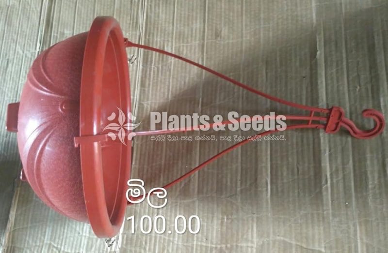 Plastic Pots