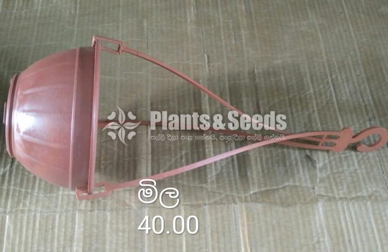 Plastic Pots