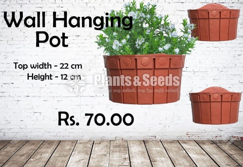 Wall Hanging Pots