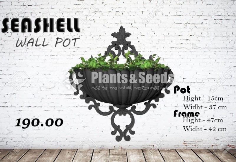 Seashell Wall Pot