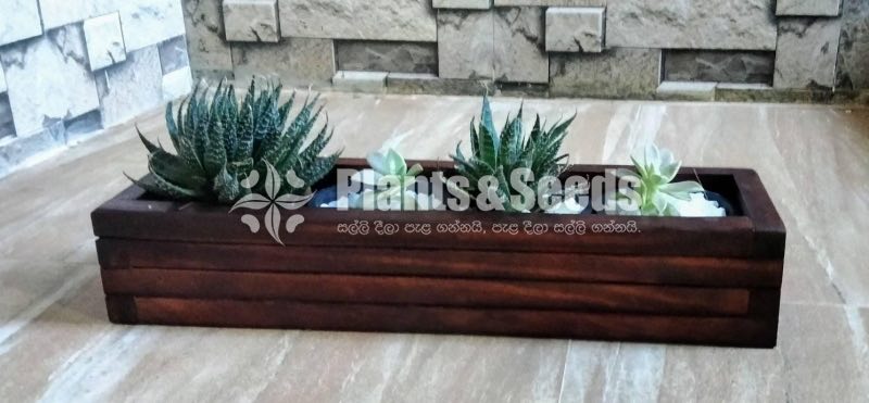 Wooden Plant Holder