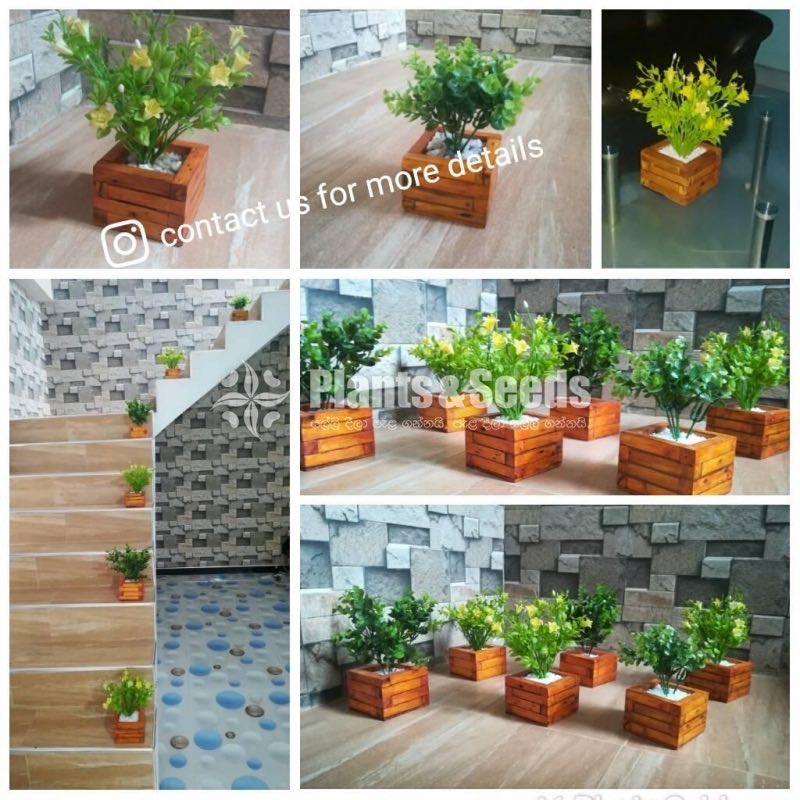 Plant Box