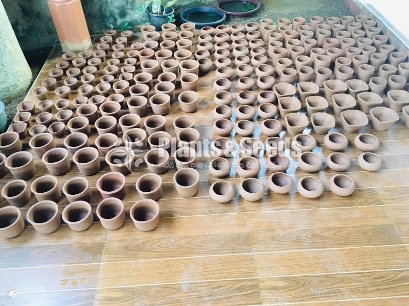 Clay Pots