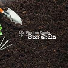 Potting Mix (බදුන් පිරවුම )