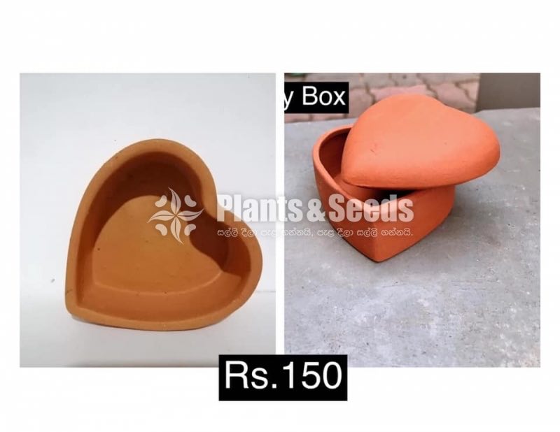 Decorative Pots(විසිතුරු මල් පැළ පොච්ච් )