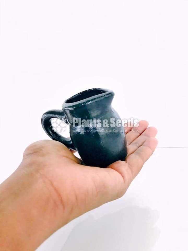 Decorative Pots(විසිතුරු මල් පැළ පොච්ච් )