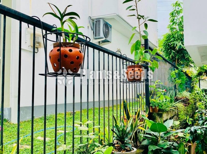 මල් බඳුන් රඳවනය(Flower Holder)