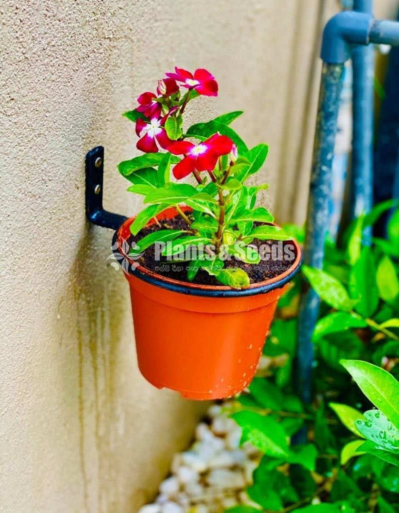 මල් බඳුන් රඳවනය(Flower Holder)