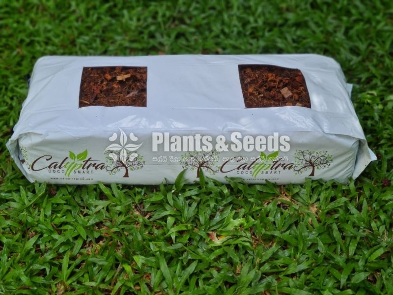Kaliptra Bag-Planter Bag
