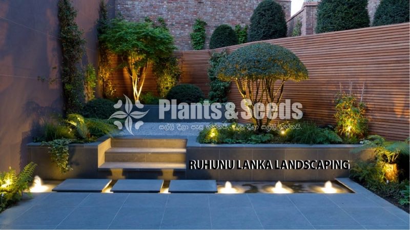 All kind of Grasses and Landscaping