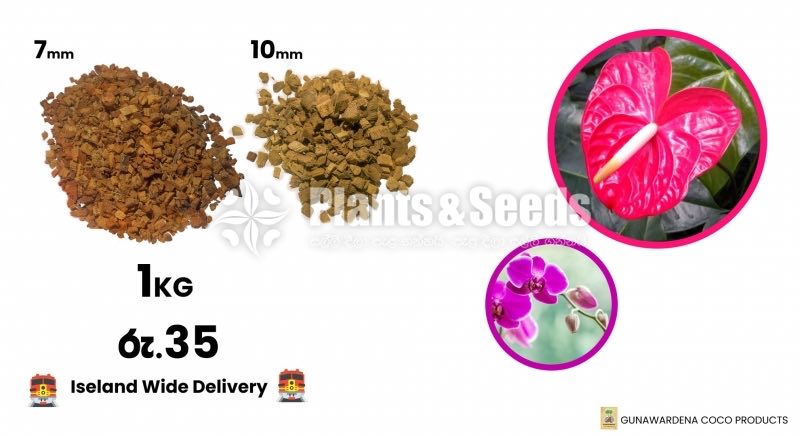 PolleliKabali(පොල් ලෙලි කැබලි ) 