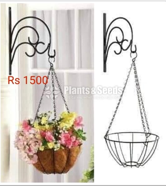 Hangging Plant Holder