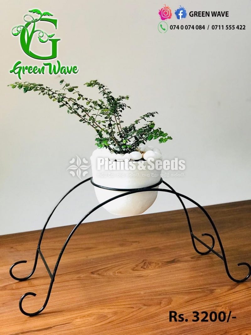 Decorative Pots