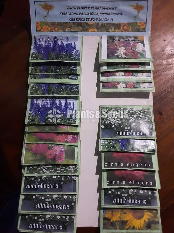 Flower Seeds