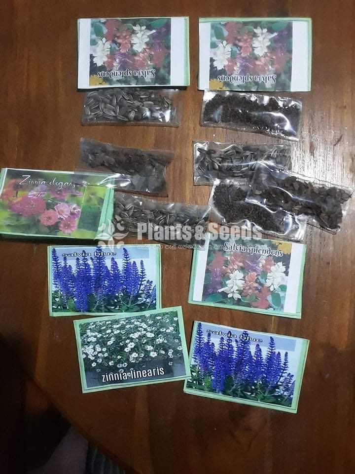 Flower Seeds