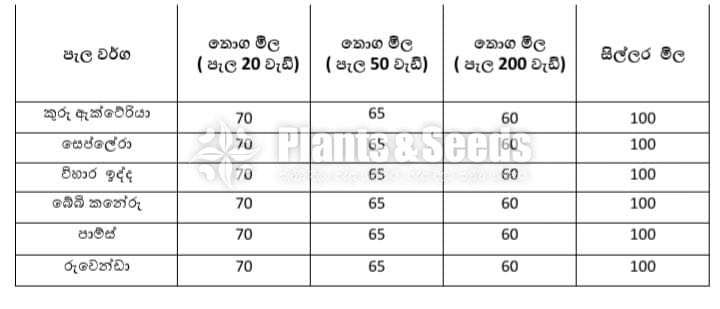 Kristelsia(ක්‍රිස්ටෙල්සියා )