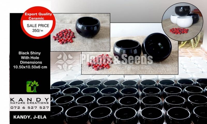 Ceremic Pots Collection