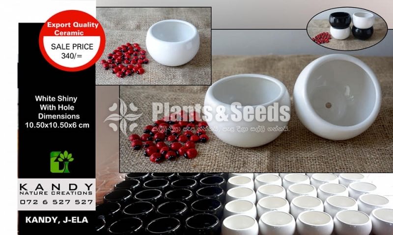 Ceremic Pots Collection