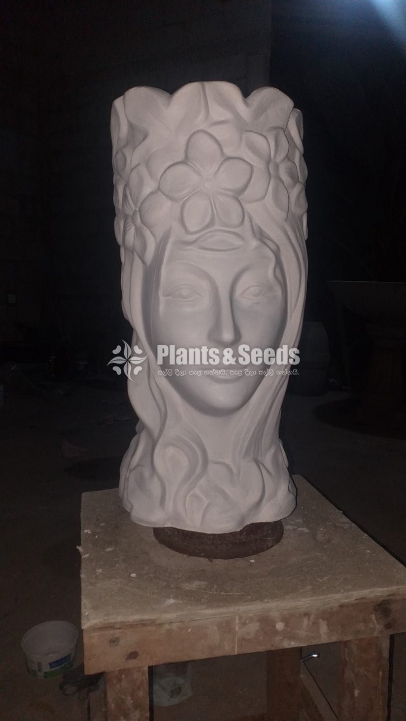Mold face Cement Pots