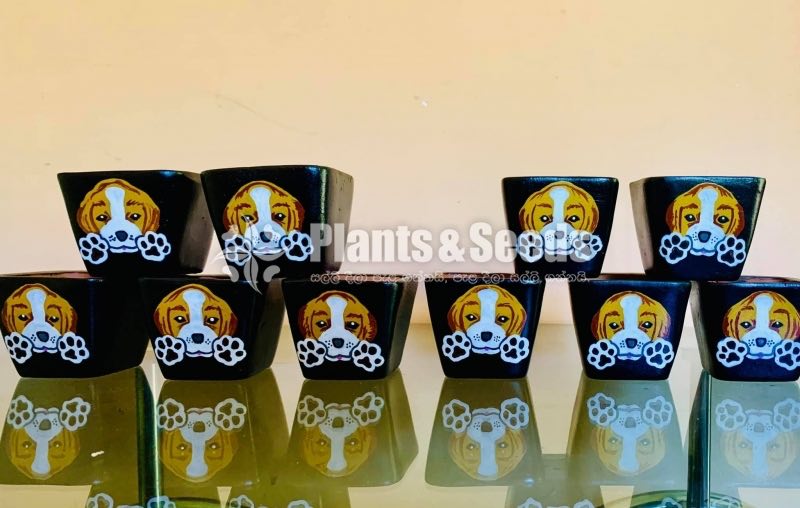 Decorative Pots(විසිතුරු මල් පැළ පොච්ච් )