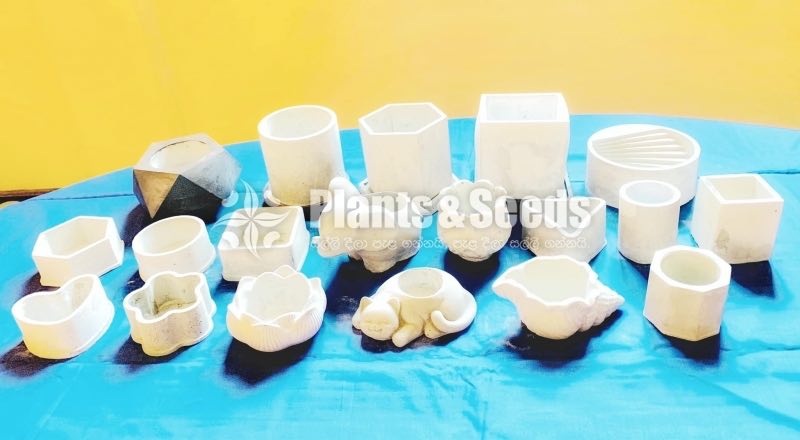 Decorative Pots(විසිතුරු මල් පැළ පොච්ච් )