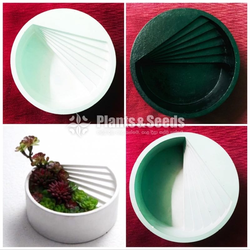 Decorative Cactus Pots(විසිතුරු මල් පැළ පොච්ච් )