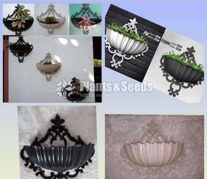 5 Seashell Wall Pots