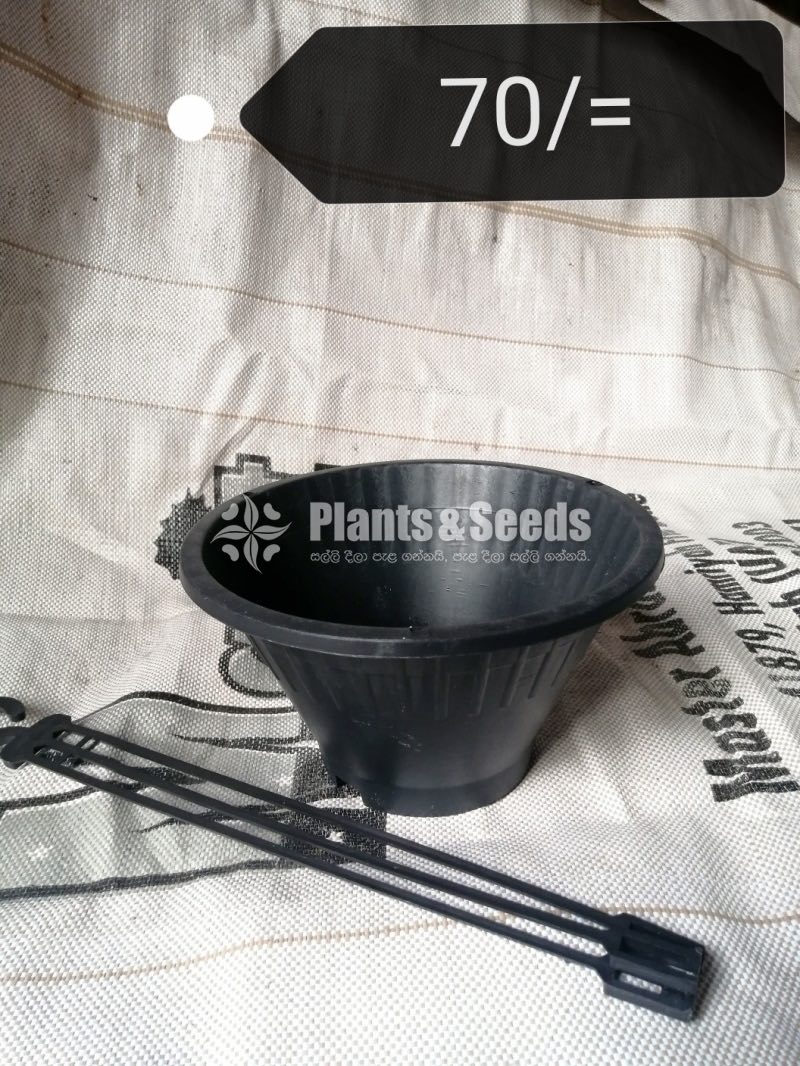 Plastic Pots